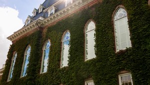 The windows of Fenwick Hall are shown close-up covered in green ivy. 